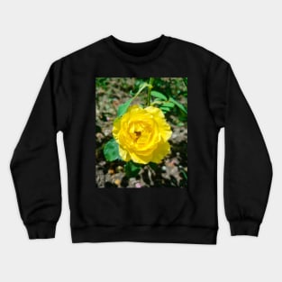 Beautiful Yellow Rose Crewneck Sweatshirt